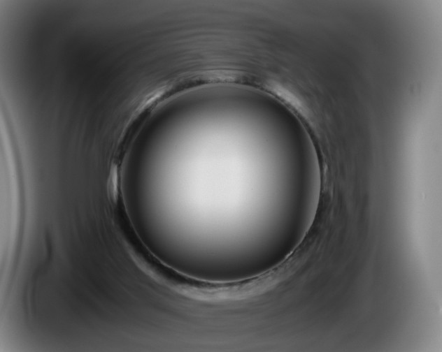 X0000086010013200703301020