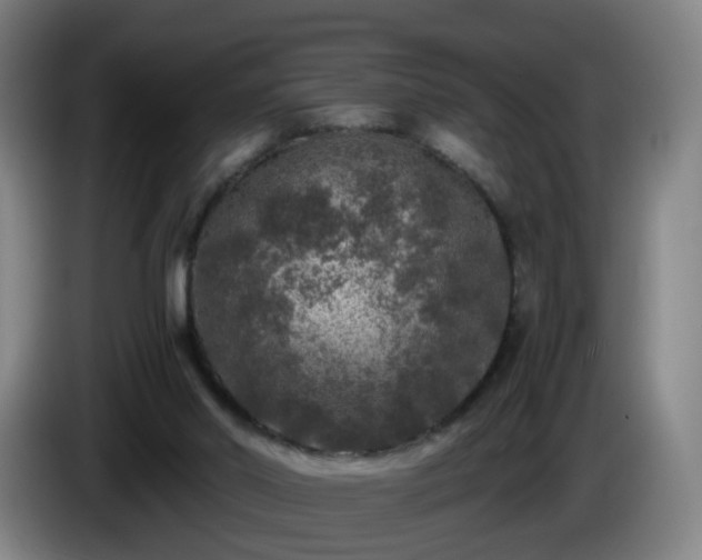 X0000086010014200703301020