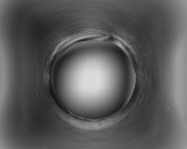 X0000086010015200703301020