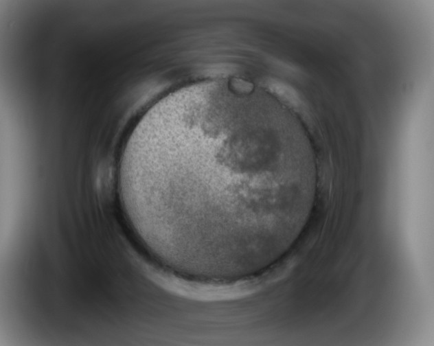X0000086010016200703301020