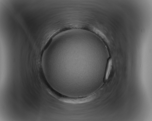 X0000086010017200703301020