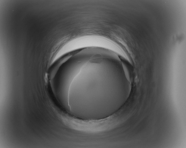 X0000086010019200703301020
