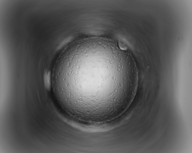 X0000086010020200703301020
