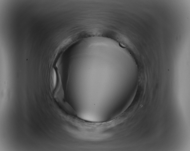 X0000086010023200703301020