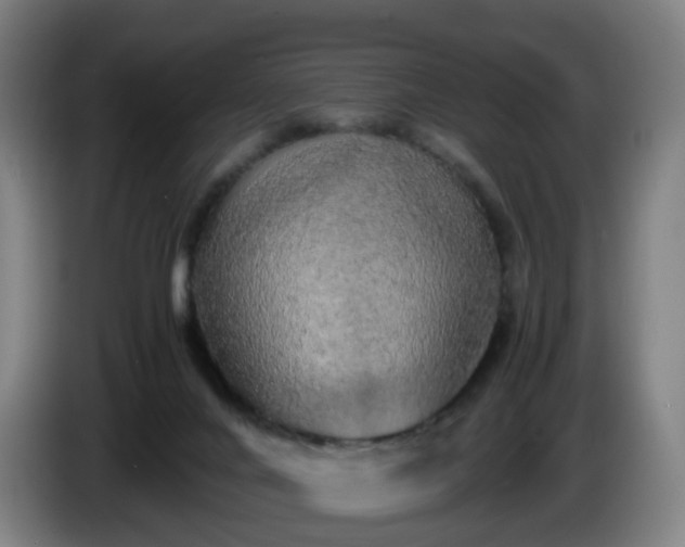 X0000086010024200703301020