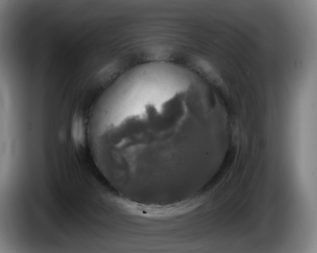 X0000086010026200703301020