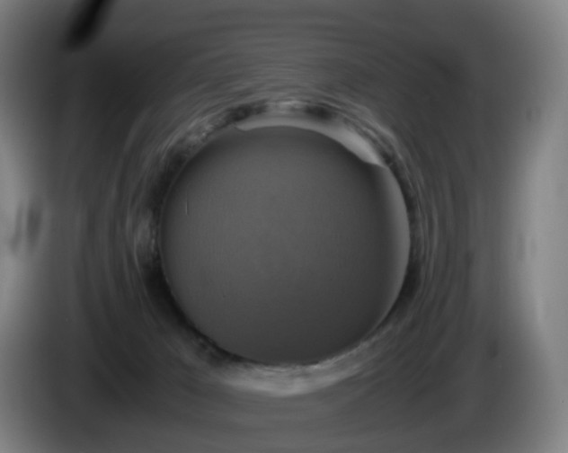 X0000086010029200703301020