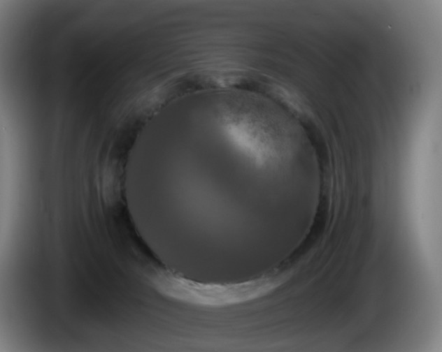 X0000086010030200703301020