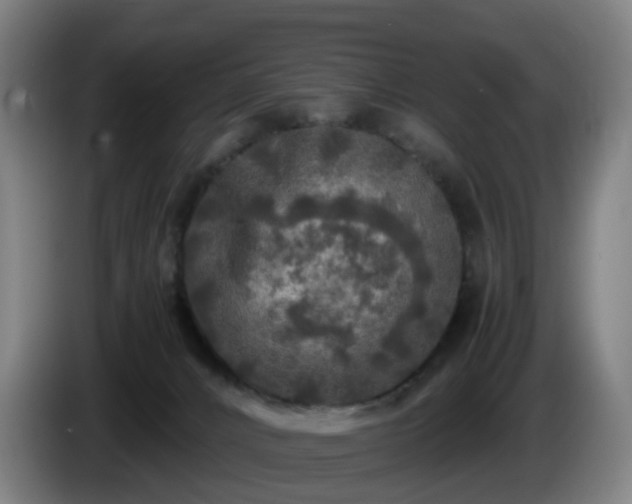 X0000086010032200703301020