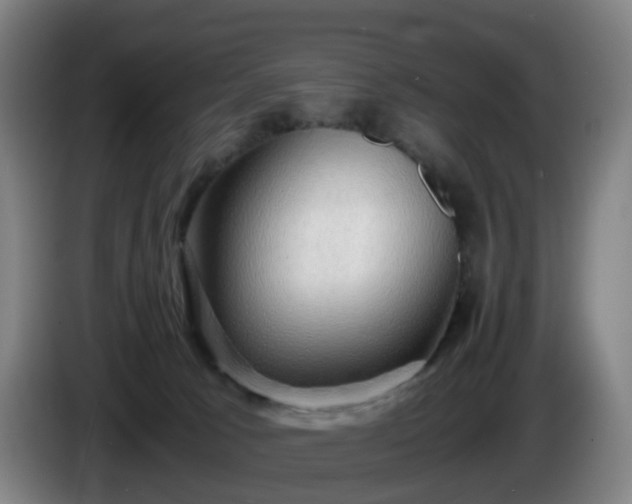 X0000086010033200703301020