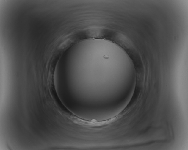 X0000086010035200703301020