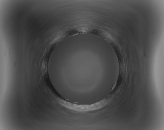 X0000086010043200703301020