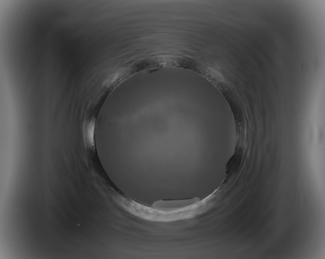 X0000086010047200703301020