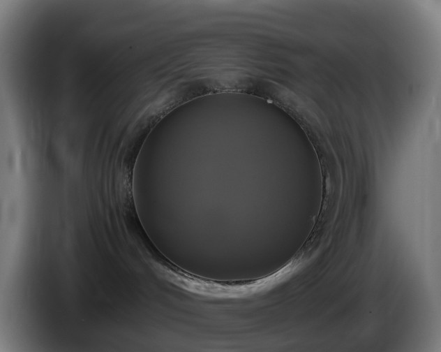 X0000086010048200703301020