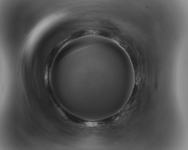 X0000086010052200703301019