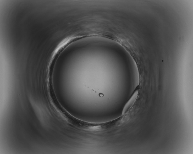X0000086010054200703301019