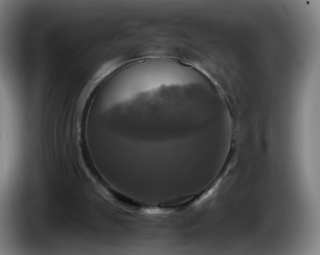 X0000086010055200703301019
