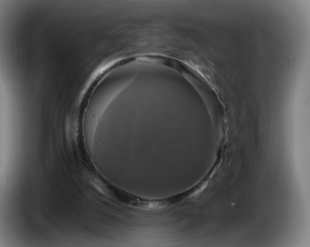 X0000086010056200703301019