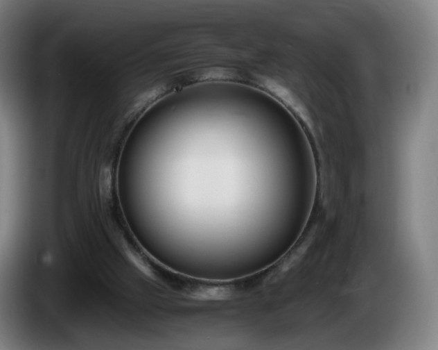 X0000086010057200703301019