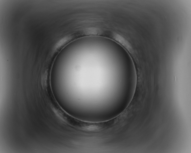 X0000086010058200703301019