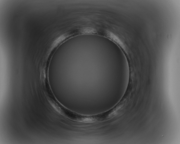 X0000086010059200703301019