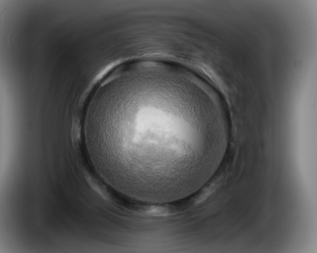X0000086010060200703301019