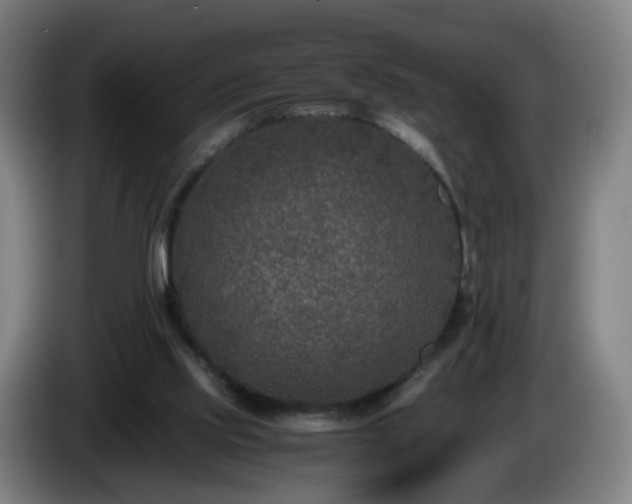 X0000086010061200703301019