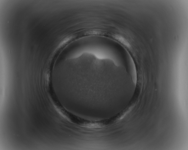 X0000086010063200703301019