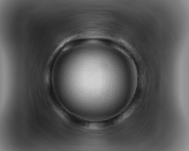 X0000086010064200703301019