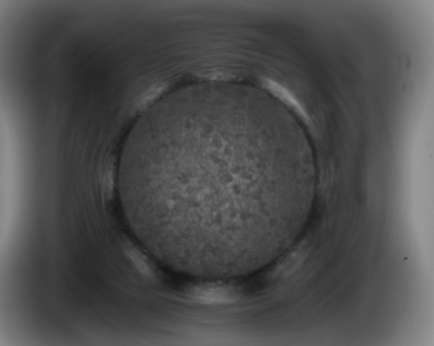 X0000086010065200703301019