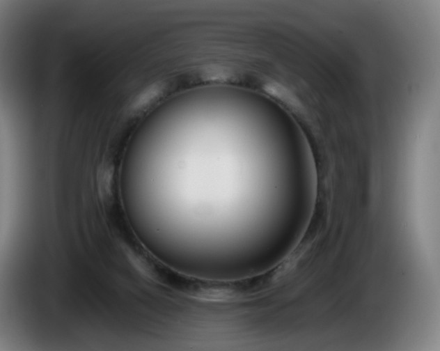 X0000086010066200703301019