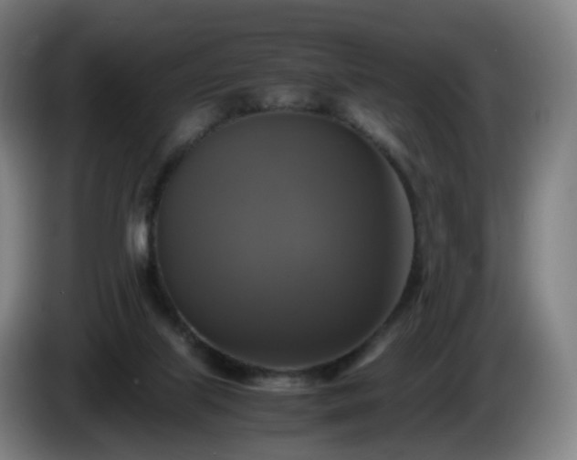 X0000086010067200703301019