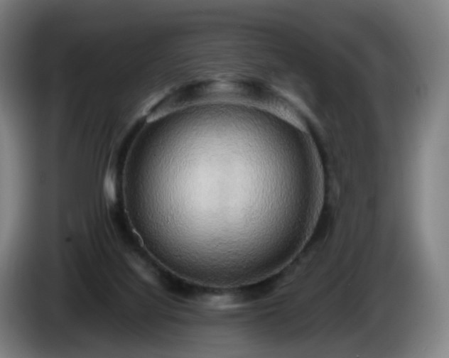 X0000086010068200703301019
