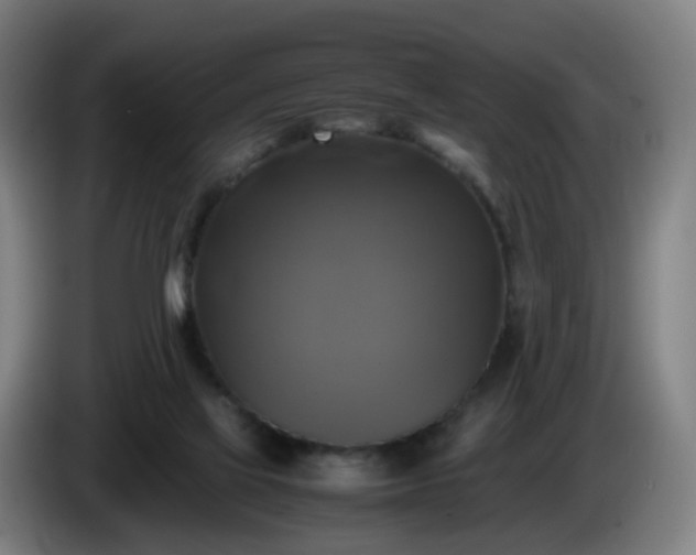 X0000086010069200703301019