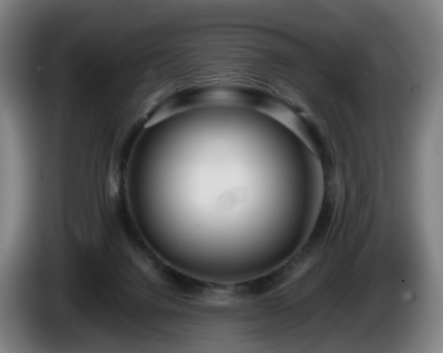 X0000086010072200703301019