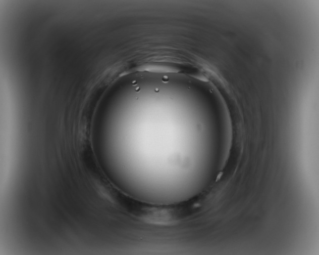 X0000086010073200703301019