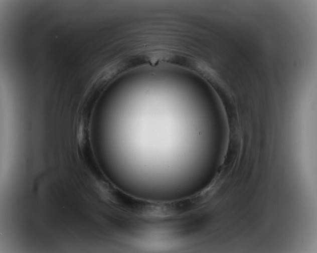 X0000086010074200703301019