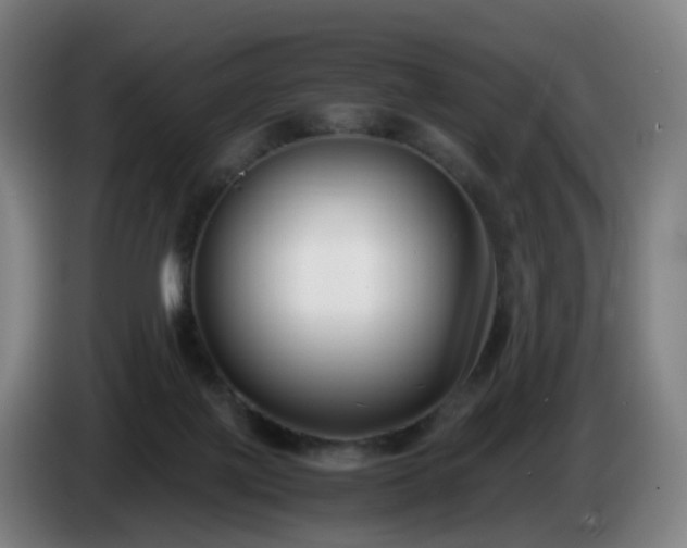 X0000086010075200703301019