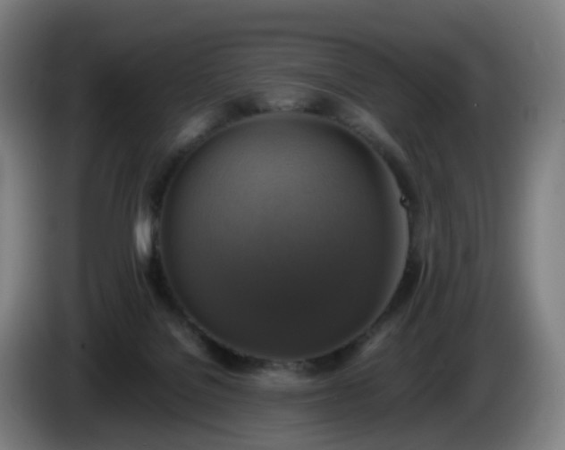 X0000086010076200703301019