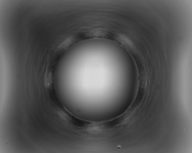 X0000086010077200703301019