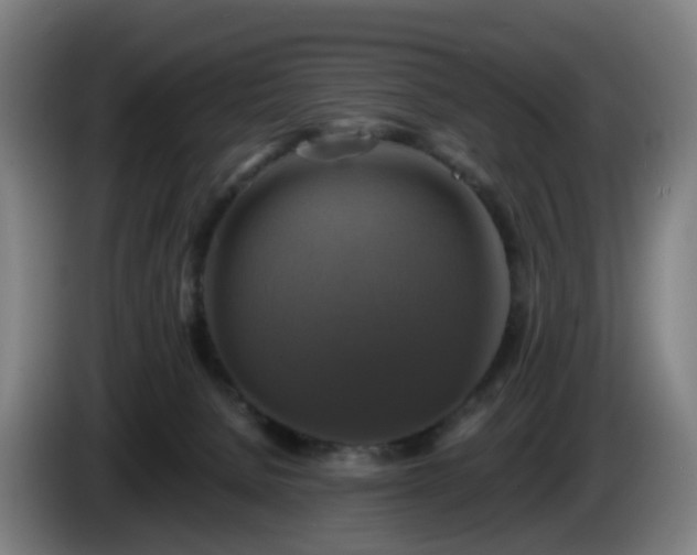 X0000086010080200703301019