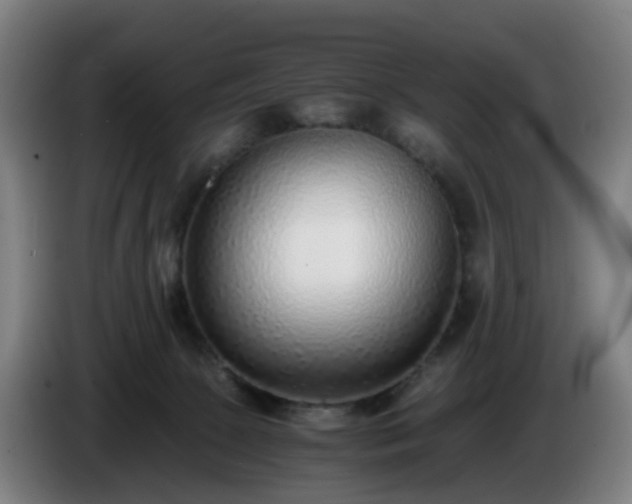 X0000086010081200703301019