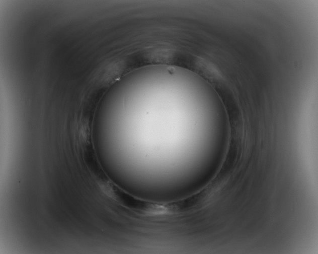 X0000086010083200703301019