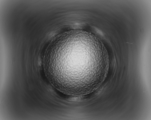 X0000086010084200703301019