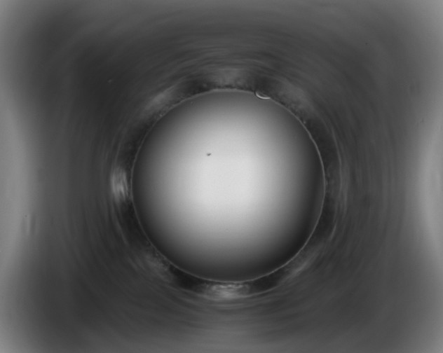 X0000086010089200703301020