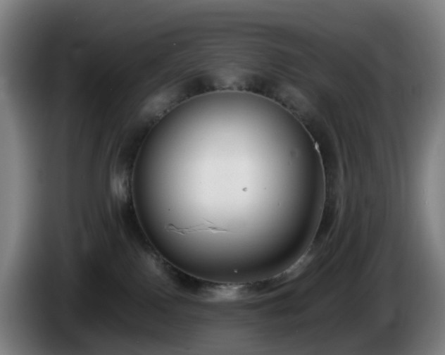 X0000086010090200703301020