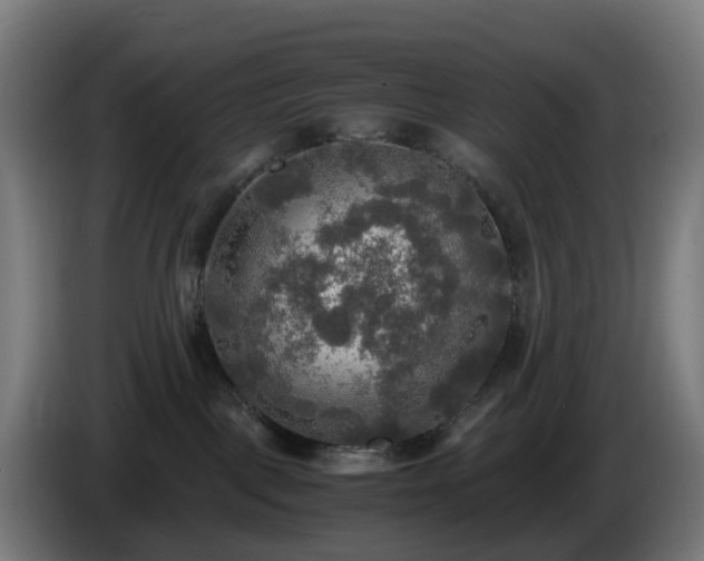 X0000086010093200703301020