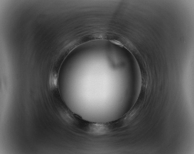 X0000086010095200703301020