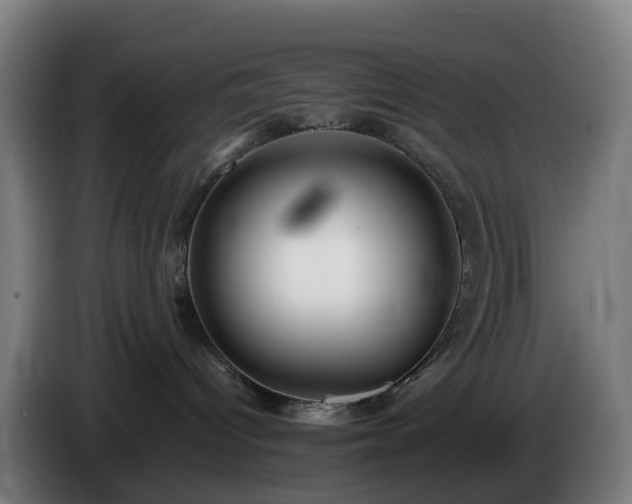 X0000086010096200703301020
