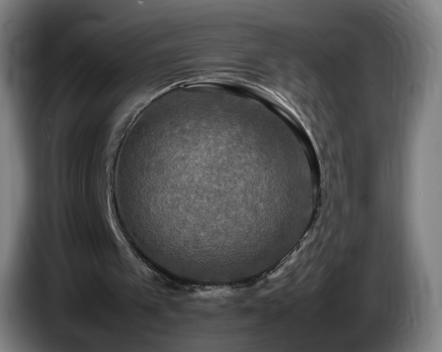 X0000086010097200703301019